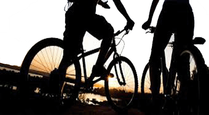 mtb copia