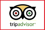 tripadvisor copia